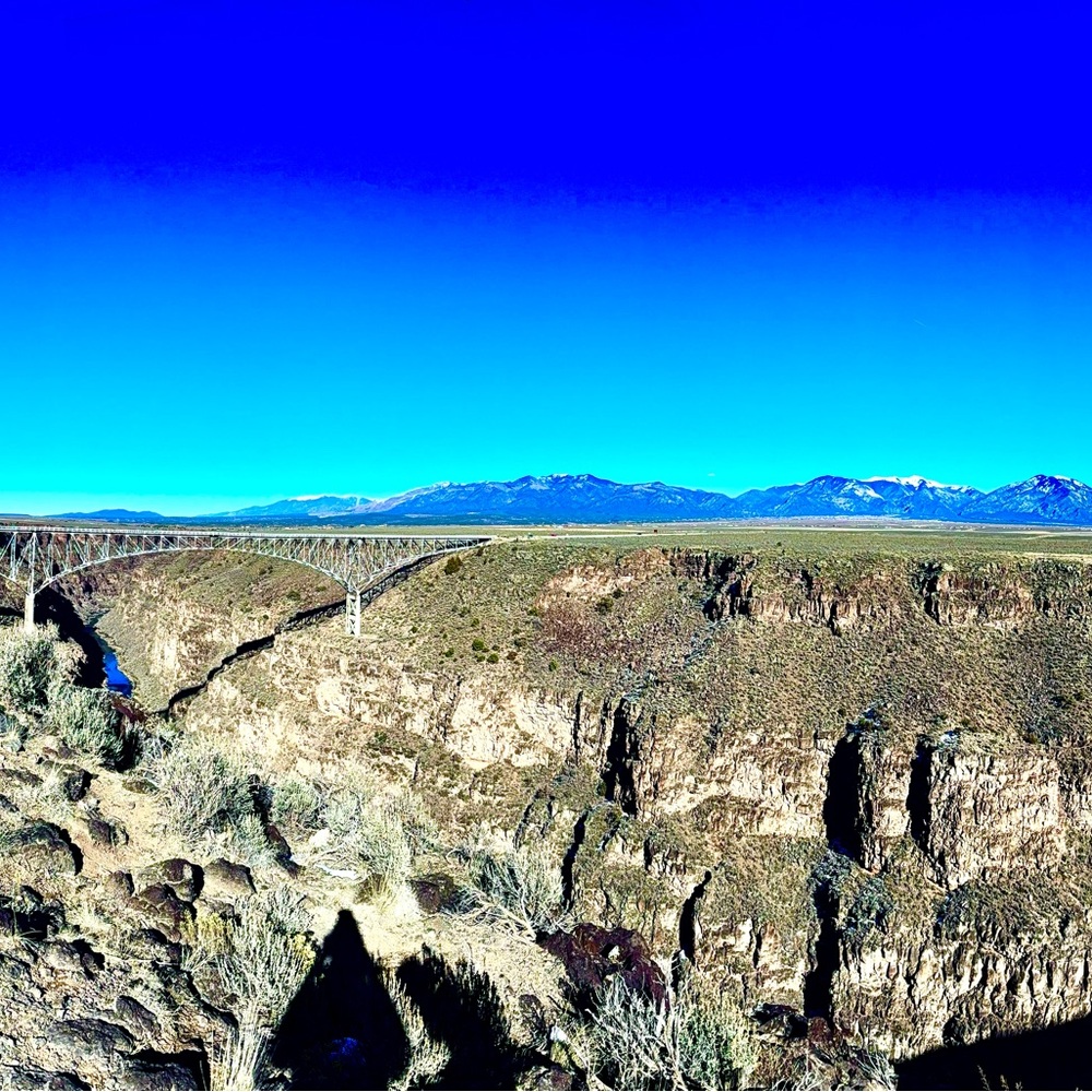 Meet your Posher, Tiana